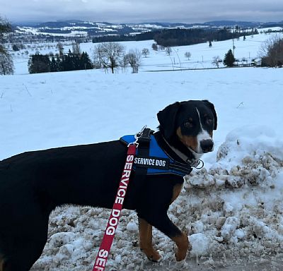 SG_Appenzeller profile photo