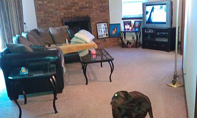 Rome10 profile photo