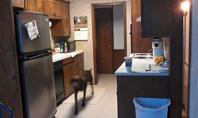 Rome10 profile photo