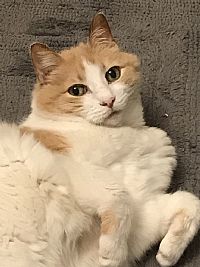 RKmotion profile photo