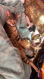 kessdilley profile photo