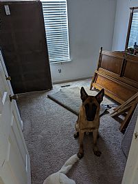 Rahl24 profile photo