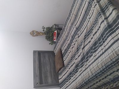 Charles P profile photo