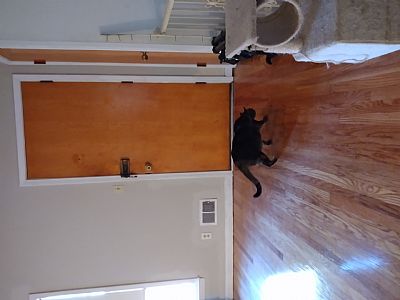 caroleLE profile photo