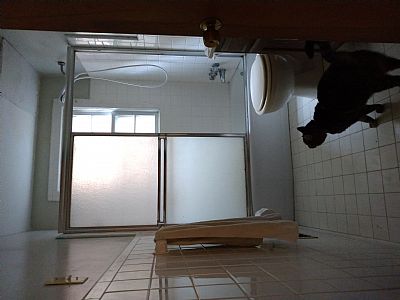 caroleLE profile photo