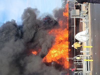 Rescuer profile photo