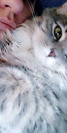 Ashleyxcii profile photo