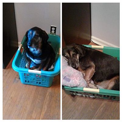 steadyadams profile photo