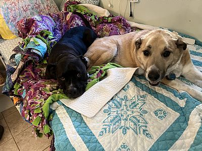 donnaphoto profile photo