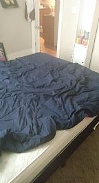 Dbraden36 profile photo