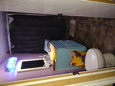 Queen.talon profile photo