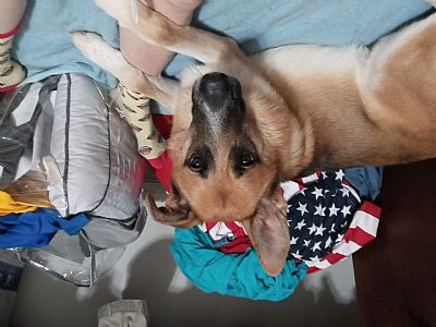 Rockomundo profile photo