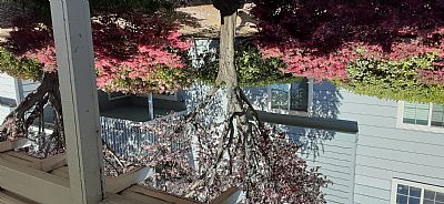 Laurahope1 profile photo