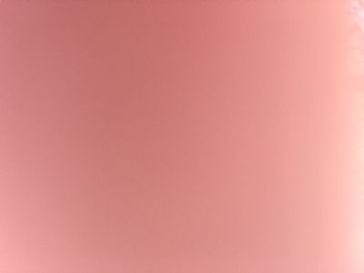 Suppeeps profile photo