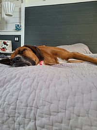 chris91974 profile photo