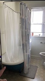 123lex profile photo