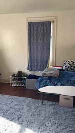 123lex profile photo