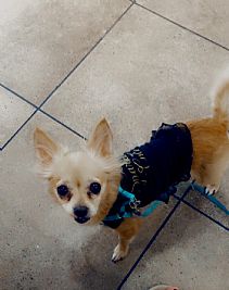 Grannyliferocks profile photo