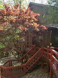 johnoljace@gmai profile photo