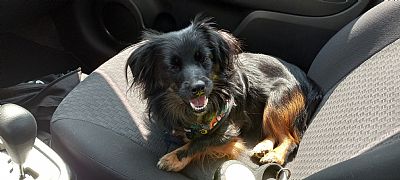 Presto2022 profile photo