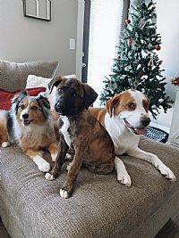 laceynmurray profile photo