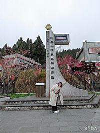 Tingyu profile photo