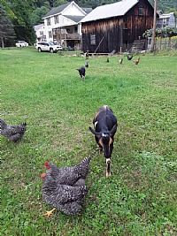 mpilon profile photo