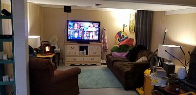 TippiConserv profile photo