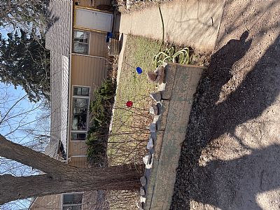 elainenoyes2011@yahoo.com profile photo