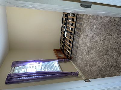 elainenoyes2011@yahoo.com profile photo