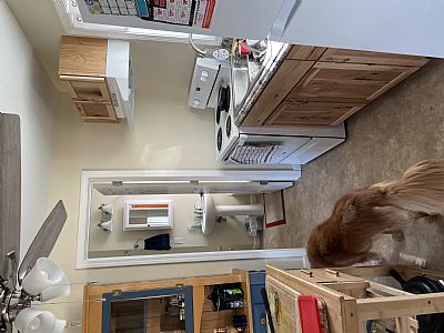 elainenoyes2011@yahoo.com profile photo