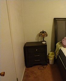 Introvertedgamr profile photo