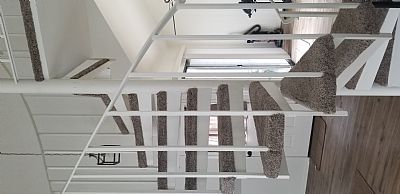 edimmler profile photo