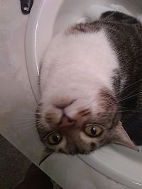 audreym10 profile photo