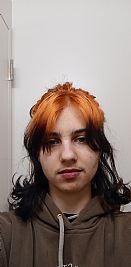 mothteeth profile photo