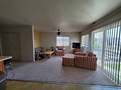 Mlocke profile photo