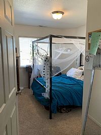 Mlocke profile photo