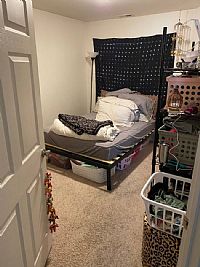 Mlocke profile photo