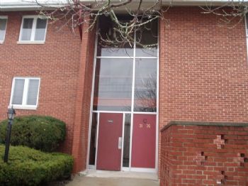 lydiafan profile photo