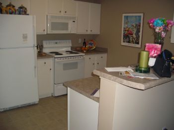 nevans profile photo