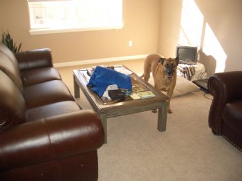 nevans profile photo