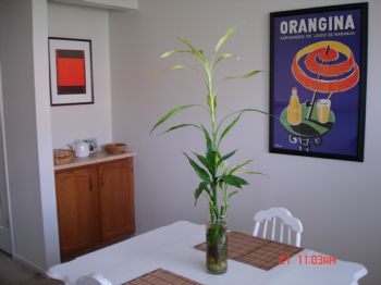 mandykohler profile photo