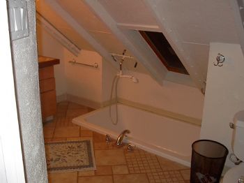 scottscott profile photo