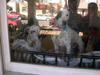 scottscott profile photo