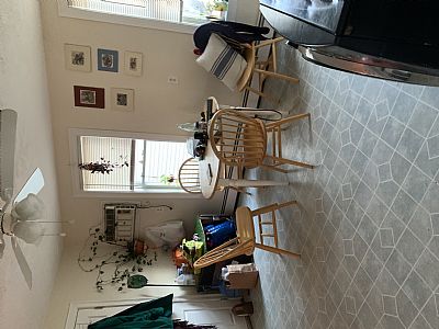 sadiegriesmer.96@gmail.com profile photo