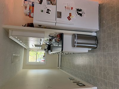 sadiegriesmer.96@gmail.com profile photo