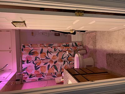 sadiegriesmer.96@gmail.com profile photo