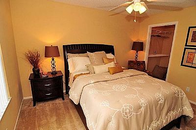 satnns profile photo