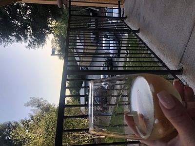 Cindybchevygirl profile photo