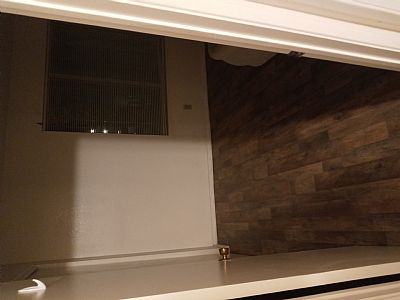 sauropoda profile photo